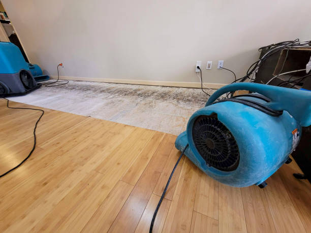 Professional Water Damage Repair technician working in Sulligent, AL